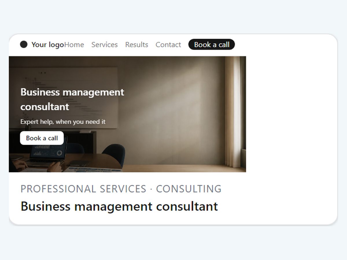 Business management consultant snapshot template